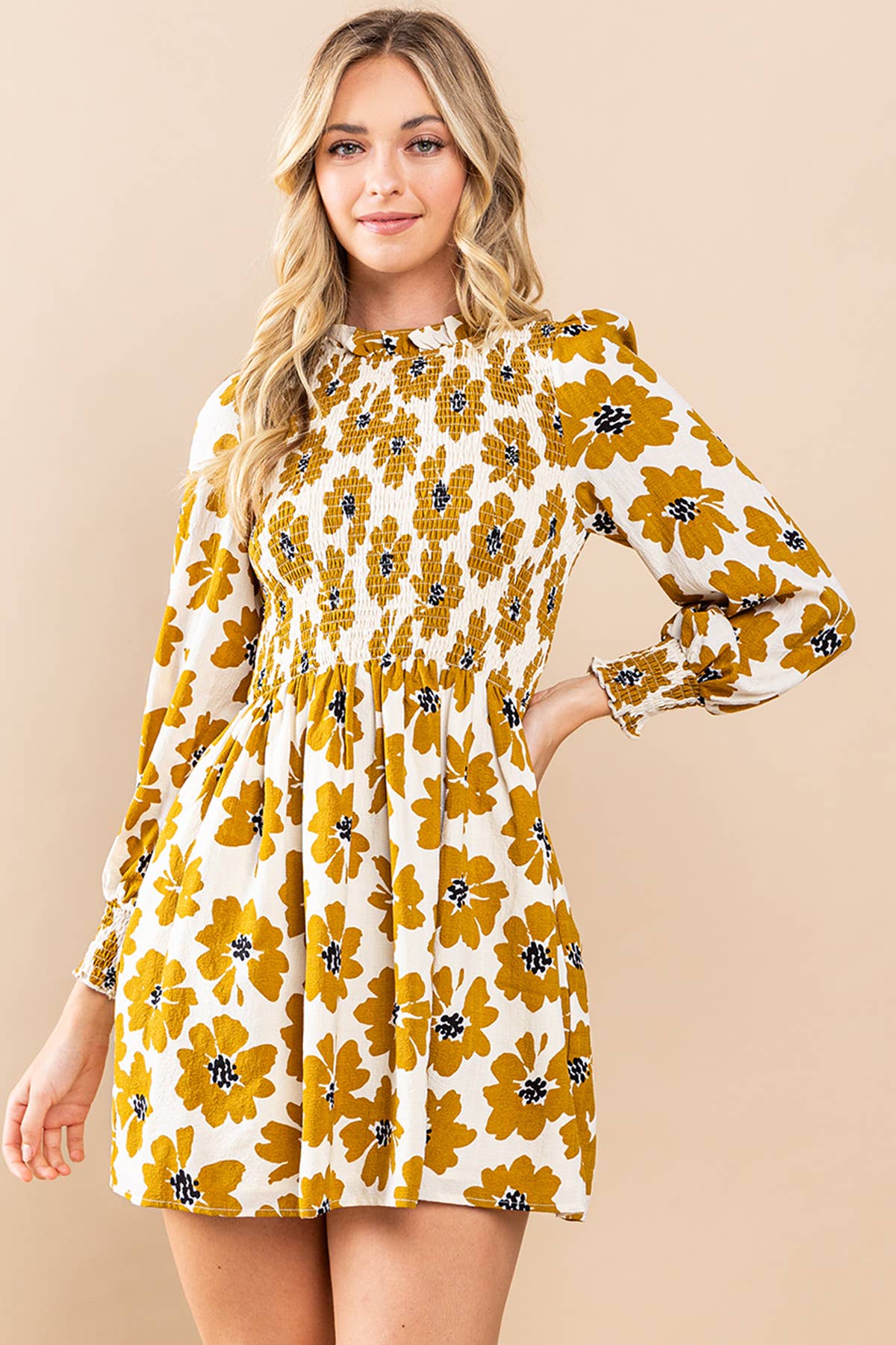 Women's Floral Printed Long Sleeve Mini Dress